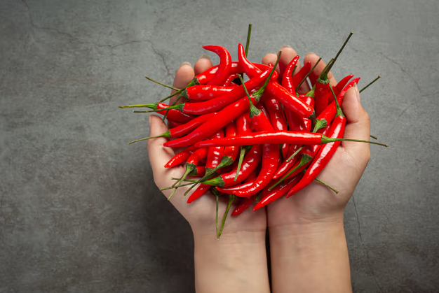 Is Capsaicin Safe for Humans.png